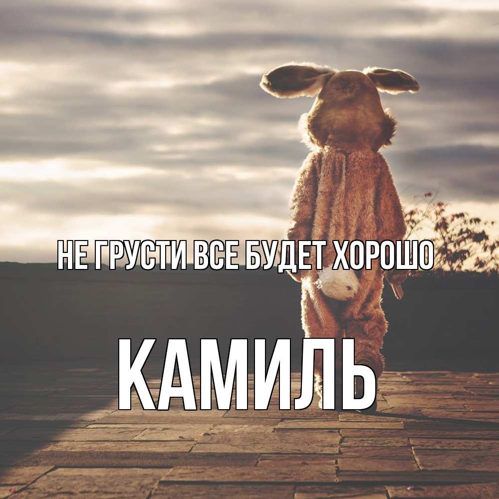Открытка на каждый день с именем, Камиль Не грусти все будет хорошо со спины Прикольная открытка с пожеланием онлайн скачать бесплатно 