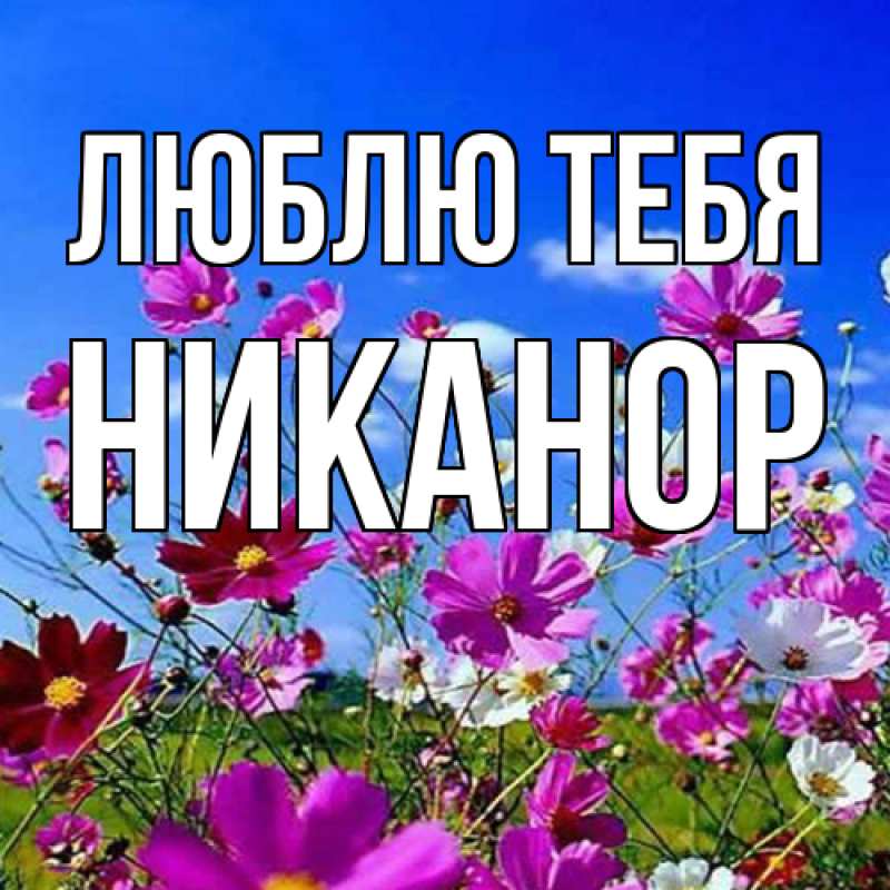 Картинка Люблю тебя, Никанор