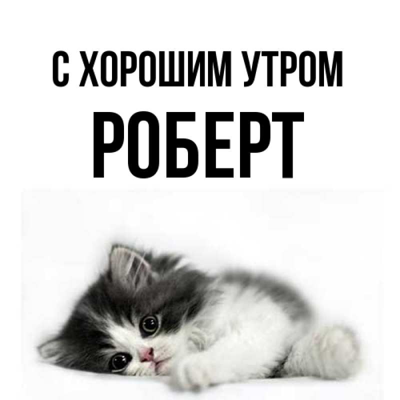 Картинка С хорошим утром, Роберт