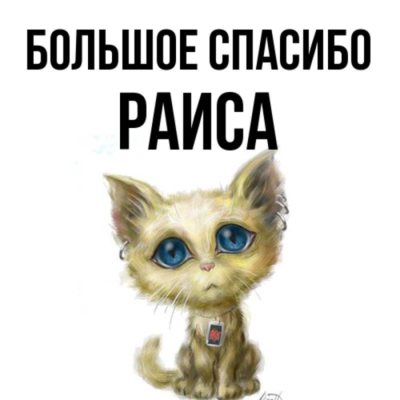 Картинка Большое спасибо, Раиса