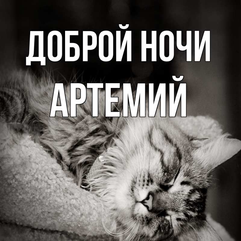 Картинка Доброй ночи, Артемий
