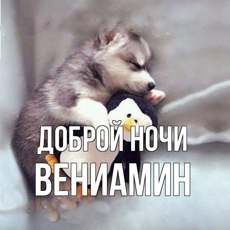 Картинка Доброй ночи, Вениамин