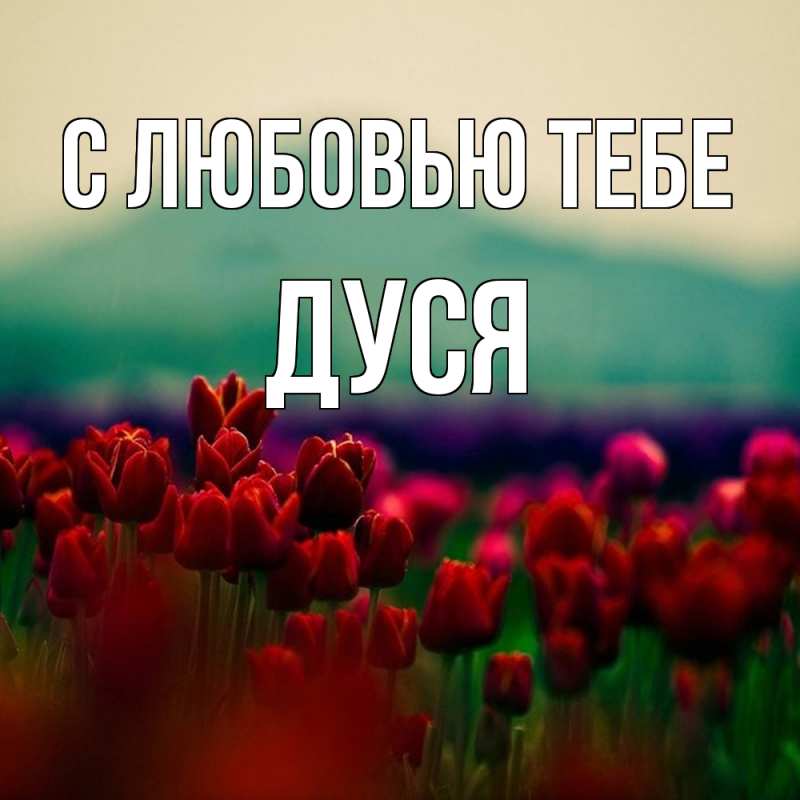 Картинка С любовью тебе, Дуся