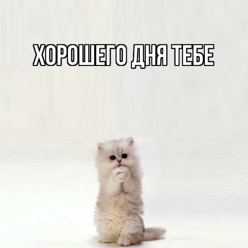 Открытка с именем, Равиль, Я жду тебя