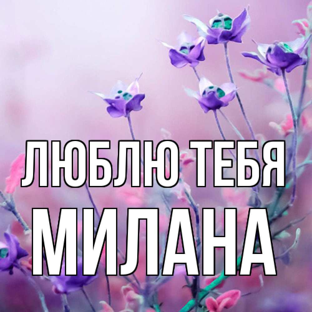 Открытка на каждый день с именем, Милана Люблю тебя международный женский день 2 Прикольная открытка с пожеланием онлайн скачать бесплатно 