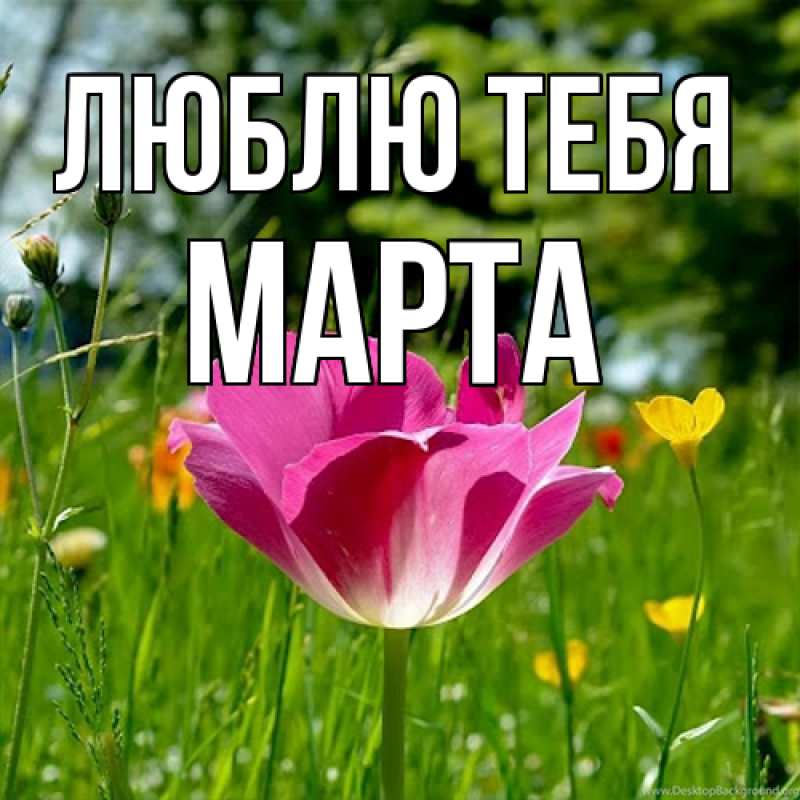 Картинка Люблю тебя, Марта