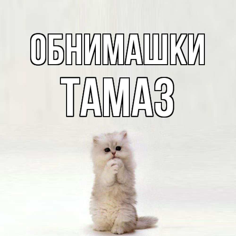 Открытка на каждый день с именем, Тамаз Обнимашки открытки с креативными подписями Прикольная открытка с пожеланием онлайн скачать бесплатно 