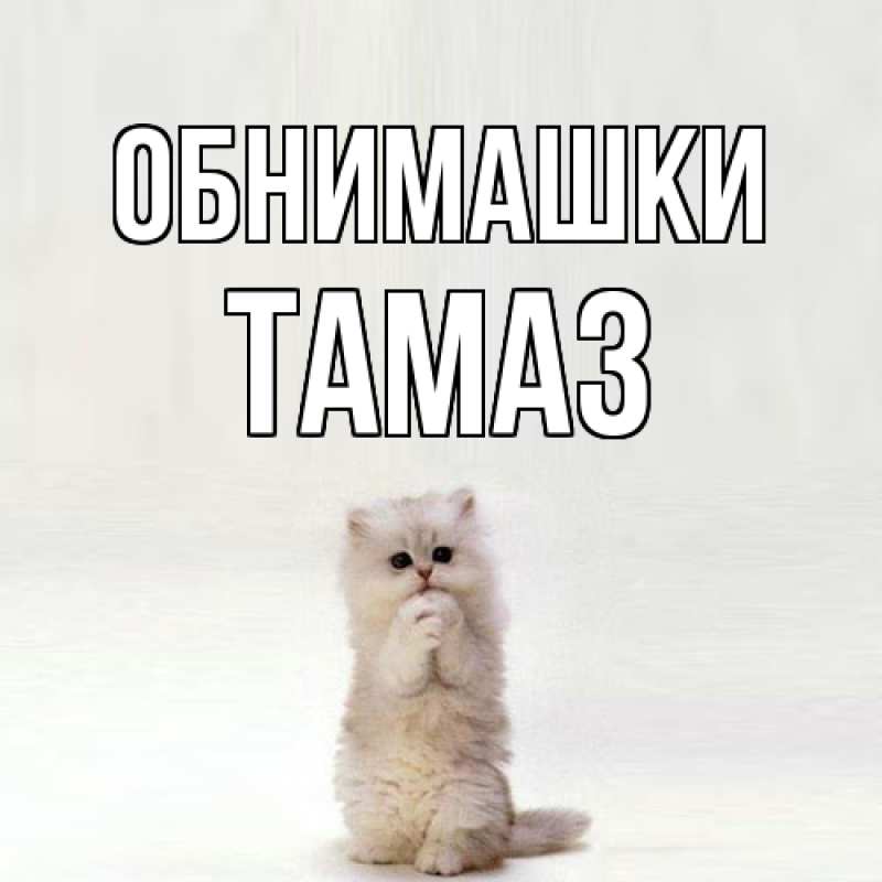 Картинка Обнимашки, Тамаз