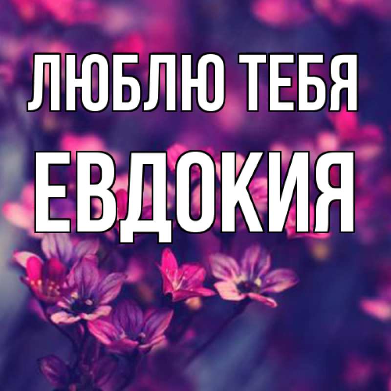Картинка Люблю тебя, Евдокия