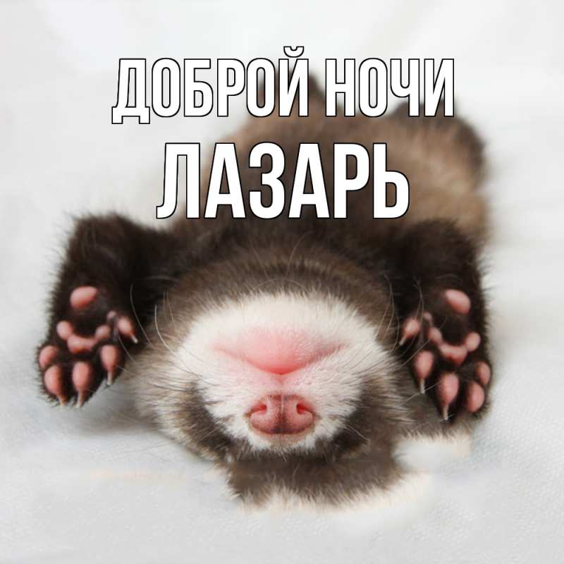 Картинка Доброй ночи, Лазарь