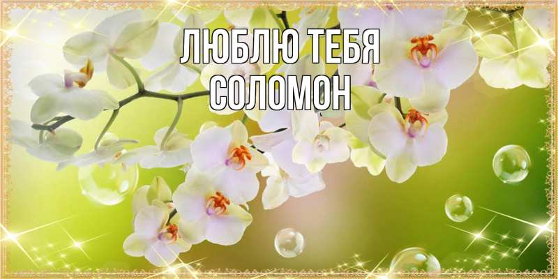 Открытка с именем, Соломон, Люблю тебя