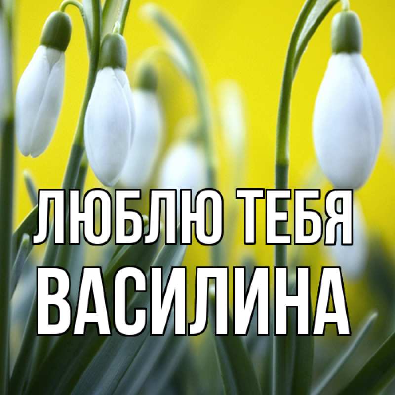 Картинка Люблю тебя, Василина