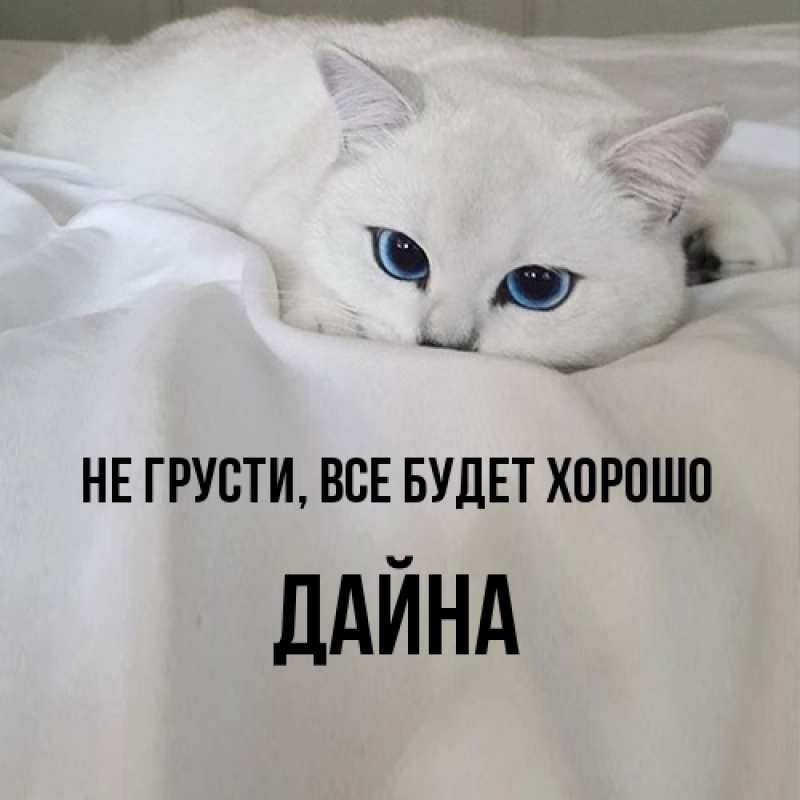 Картинка Не грусти, все будет хорошо, Дайна