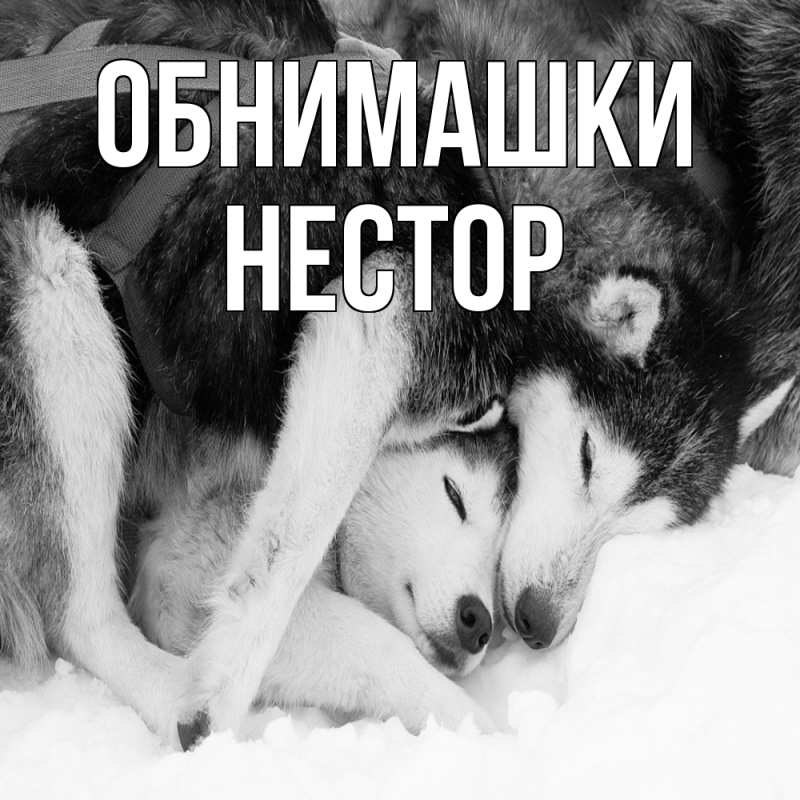 Открытка с именем, Нестор, Обнимашки