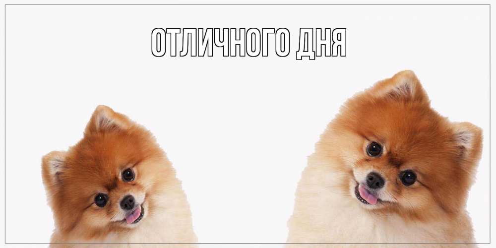 Открытка на каждый день с именем, Яков Как дела привет Прикольная открытка с пожеланием онлайн скачать бесплатно 