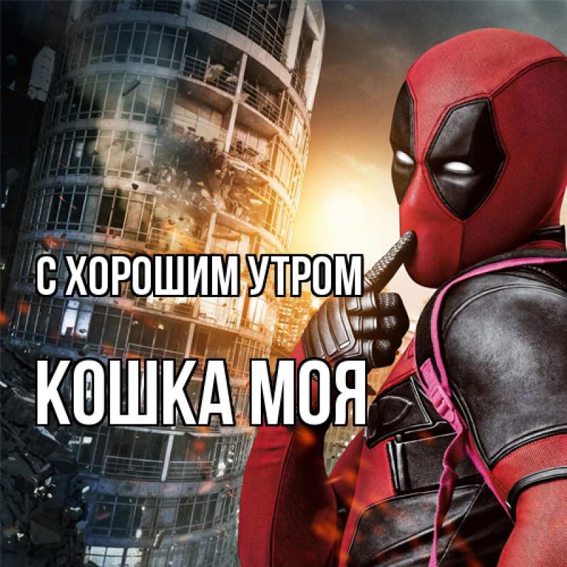 Картинка С хорошим утром, Кошка моя