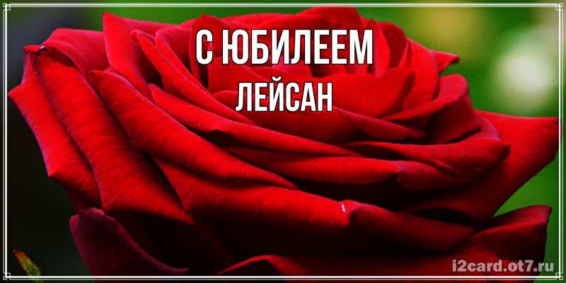 Картинка C юбилеем, Лейсан
