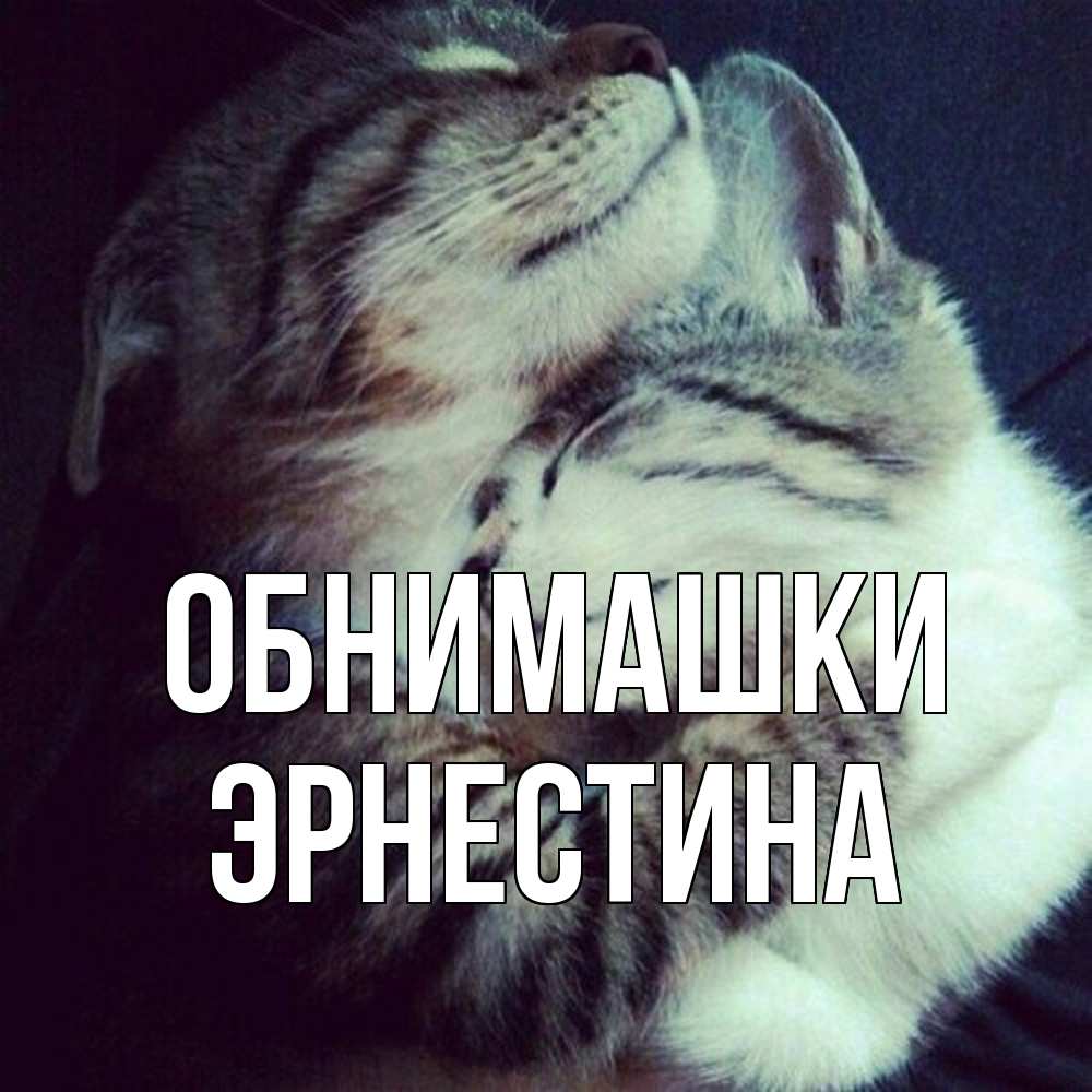 Открытка на каждый день с именем, Эрнестина Обнимашки полосатики Прикольная открытка с пожеланием онлайн скачать бесплатно 