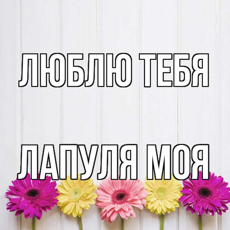 Картинка Люблю тебя, Лапуля моя