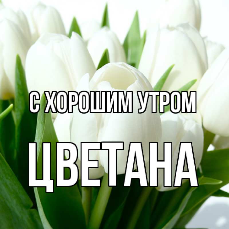 Картинка С хорошим утром, Цветана