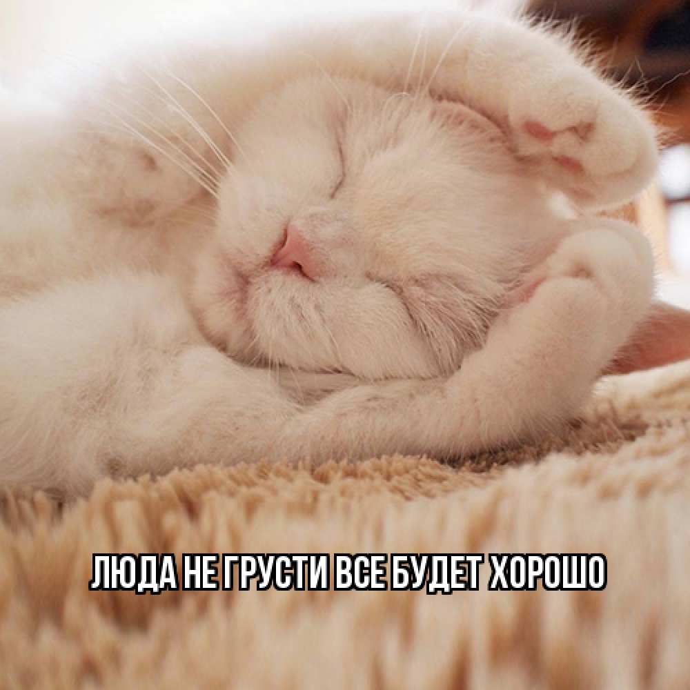 Открытка на каждый день с именем, Люда Не грусти, все будет хорошо белый кот Прикольная открытка с пожеланием онлайн скачать бесплатно 
