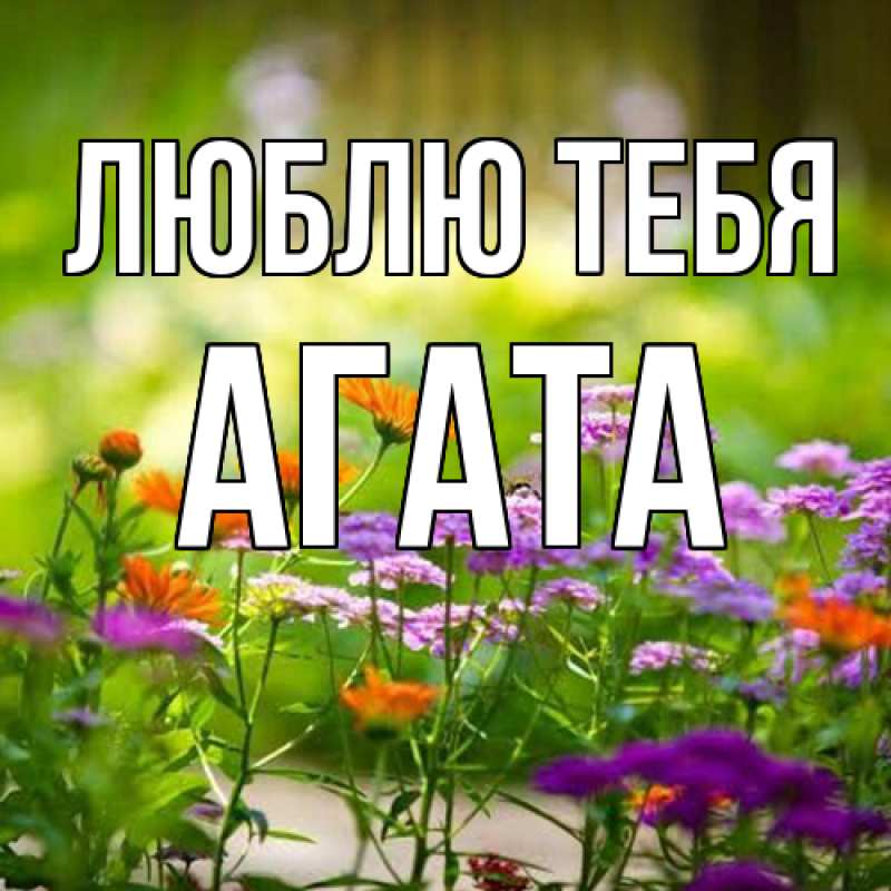 Картинка Люблю тебя, Агата