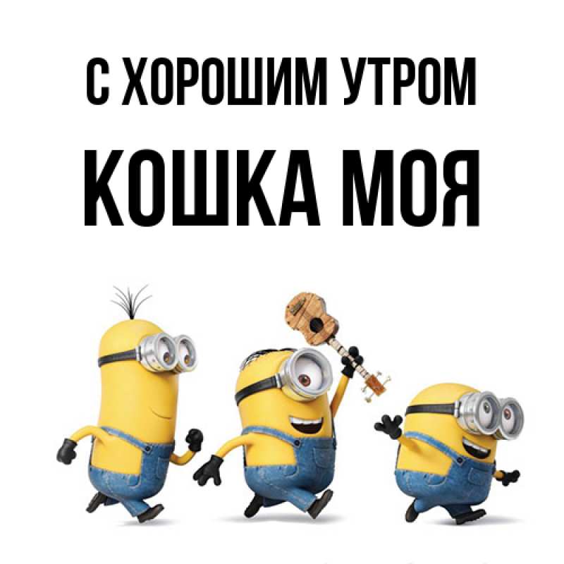 Картинка С хорошим утром, Кошка моя