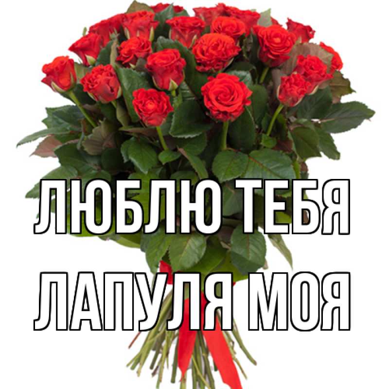 Картинка Люблю тебя, Лапуля моя