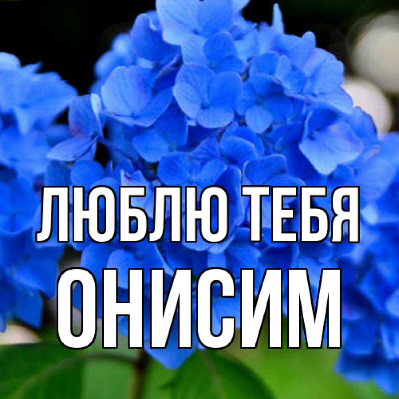 Картинка Люблю тебя, Онисим