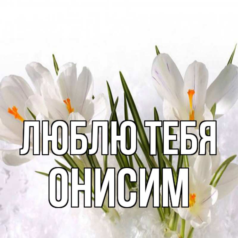 Картинка Люблю тебя, Онисим