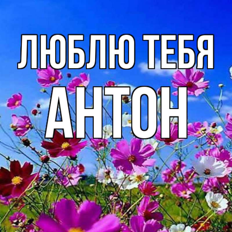 Открытка с именем, Антон, Люблю тебя