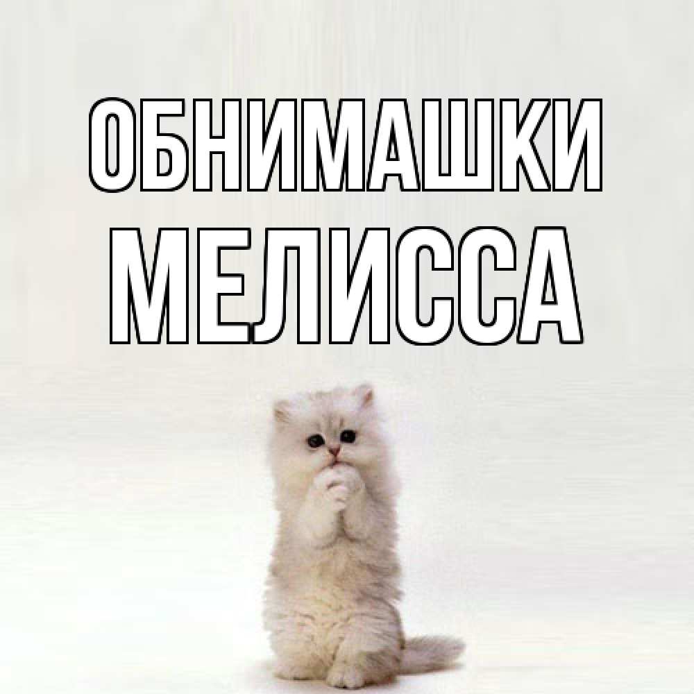 Открытка на каждый день с именем, Мелисса Обнимашки открытки с креативными подписями Прикольная открытка с пожеланием онлайн скачать бесплатно 