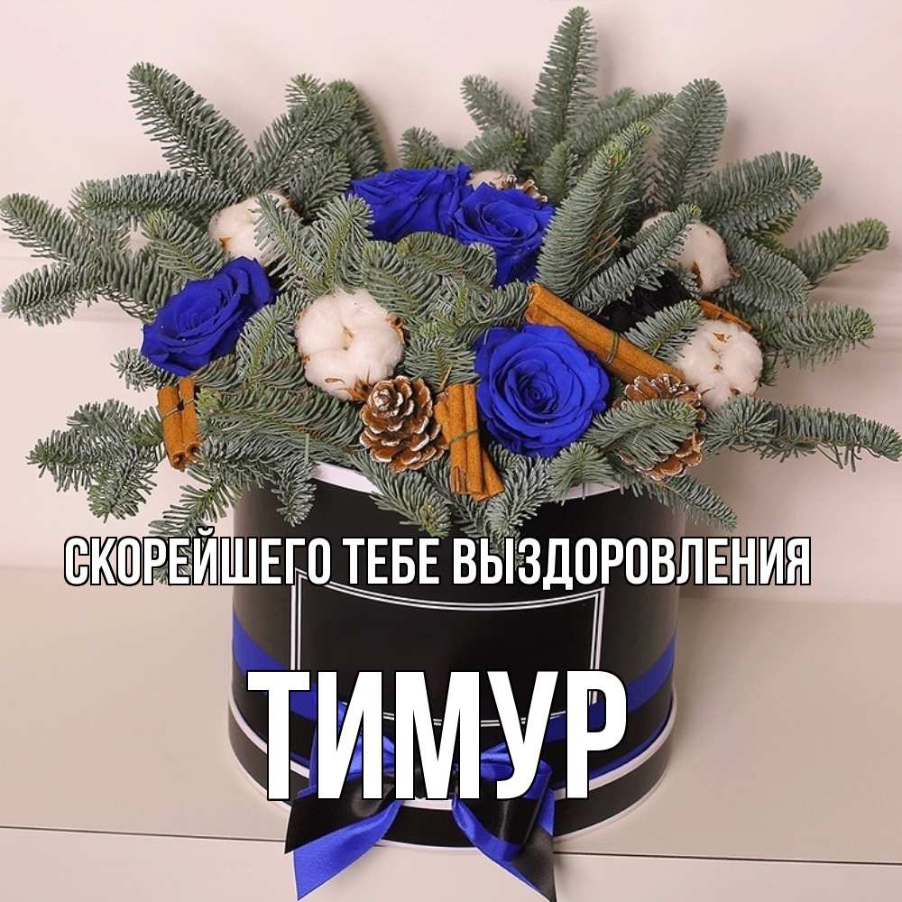 Открытка на каждый день с именем, Тимур Скорейшего тебе выздоровления короче кто то загрузил эти шишки Прикольная открытка с пожеланием онлайн скачать бесплатно 
