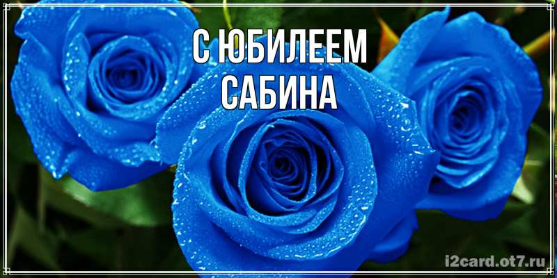 Картинка C юбилеем, Сабина
