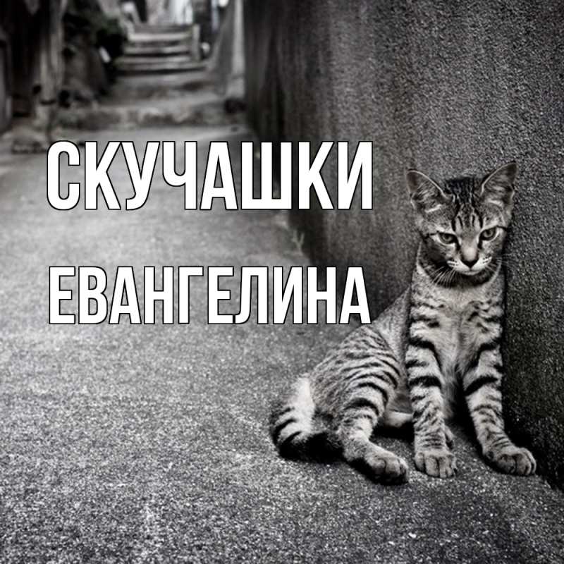 Картинка Скучашки, Евангелина