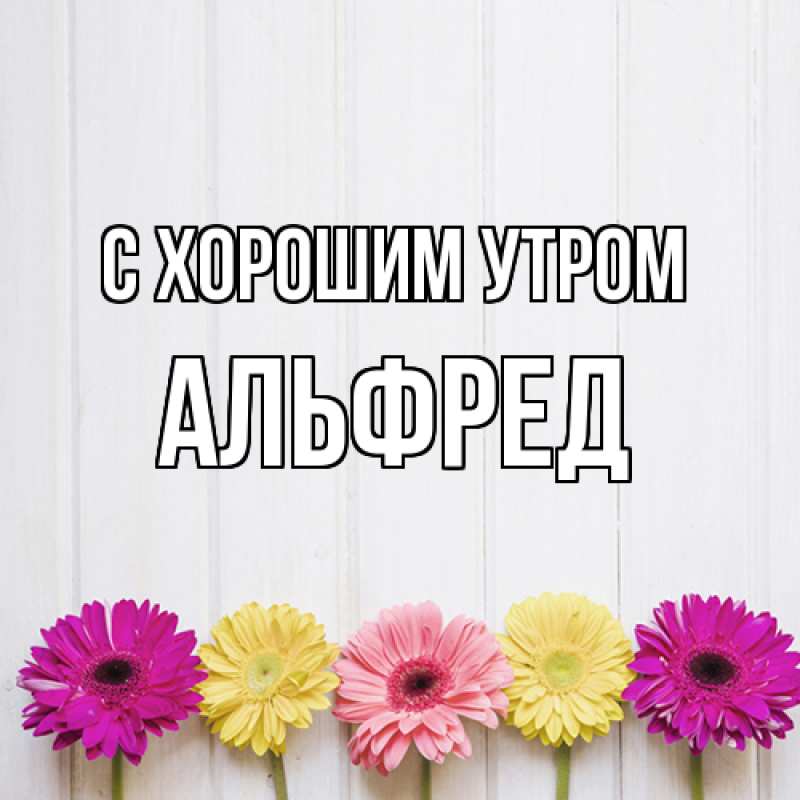 Открытка с именем, Альфред, С хорошим утром