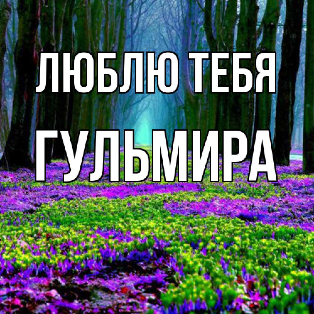 Открытка на каждый день с именем, Гульмира Люблю тебя фиолетовые цветы в лесу 1 Прикольная открытка с пожеланием онлайн скачать бесплатно 