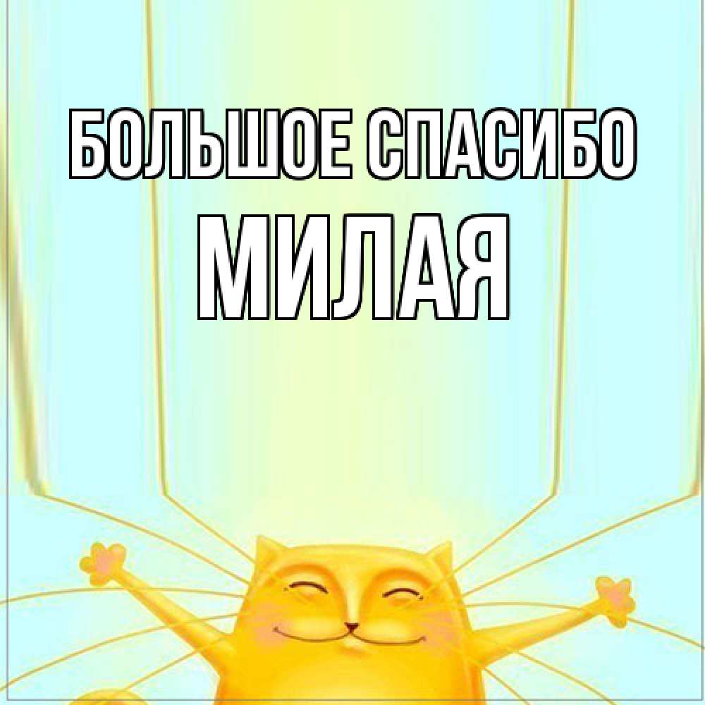 Открытка на каждый день с именем, Милая Большое спасибо кот с усами благодарит Прикольная открытка с пожеланием онлайн скачать бесплатно 