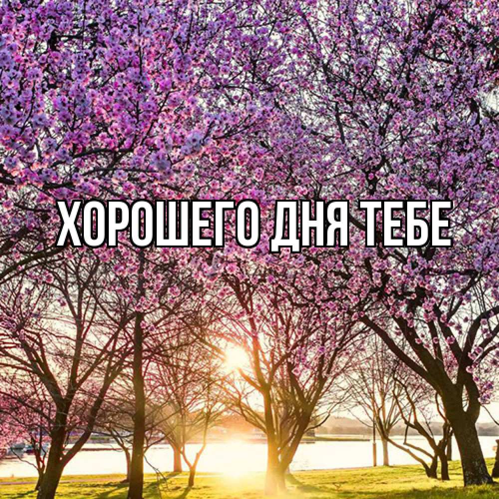 Открытка на каждый день с именем, Родной Люблю тебя международный женский день Прикольная открытка с пожеланием онлайн скачать бесплатно 