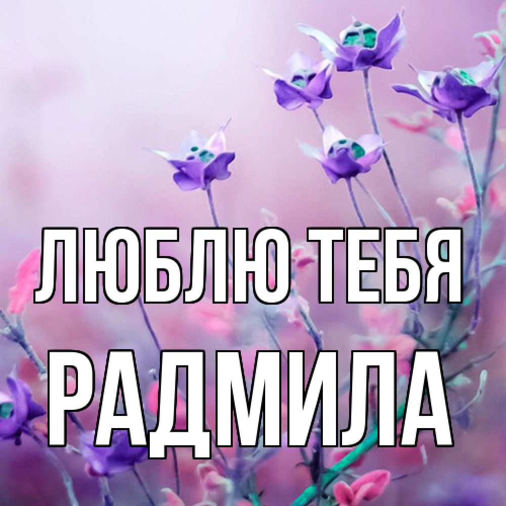 Открытка на каждый день с именем, Радмила Люблю тебя международный женский день 2 Прикольная открытка с пожеланием онлайн скачать бесплатно 