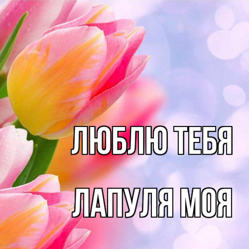 Картинка Люблю тебя, Лапуля моя