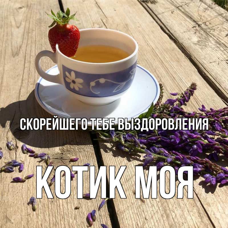 Картинка Скорейшего тебе выздоровления, Котик моя