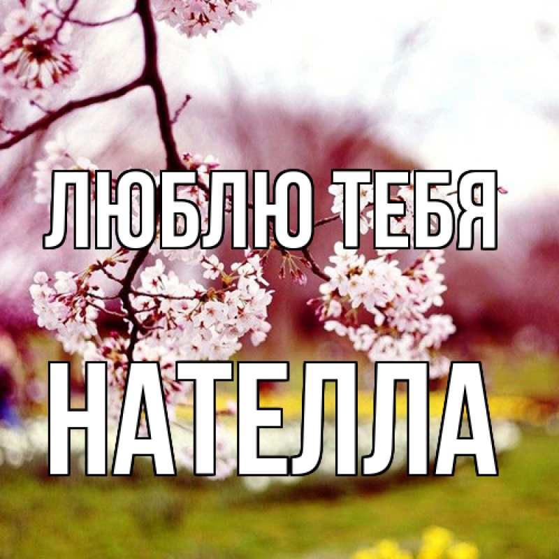 Картинка Люблю тебя, Нателла
