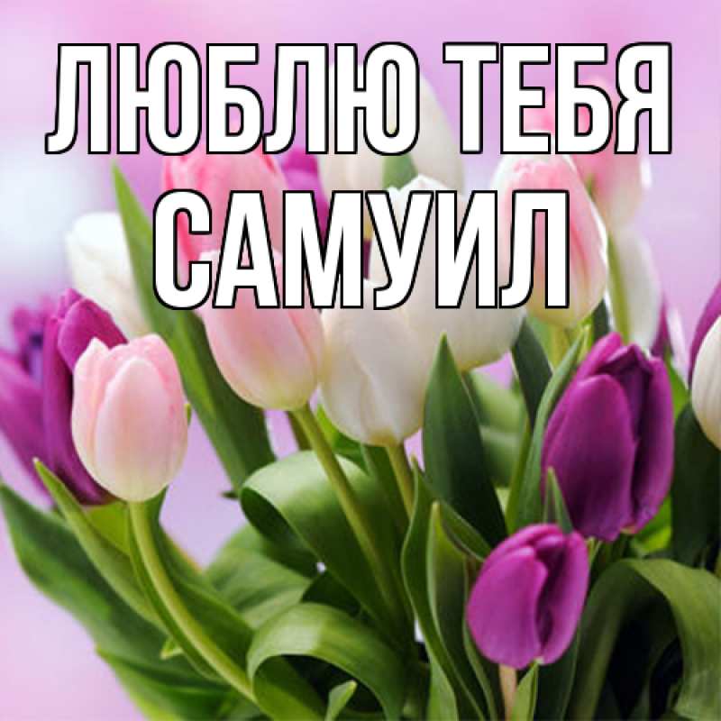 Картинка Люблю тебя, Самуил