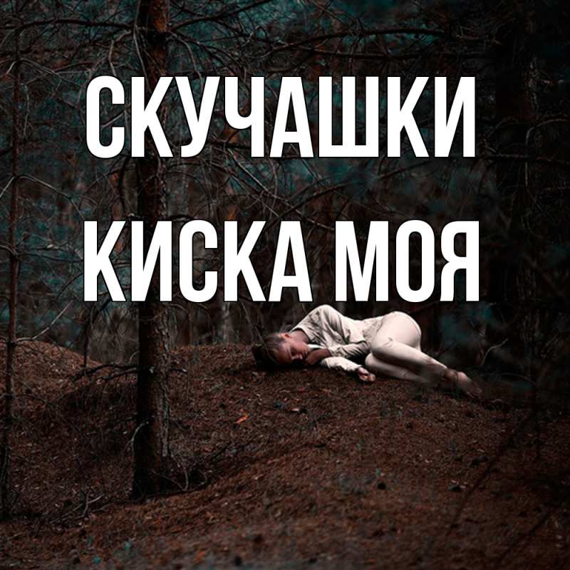 Картинка Скучашки, Киска моя