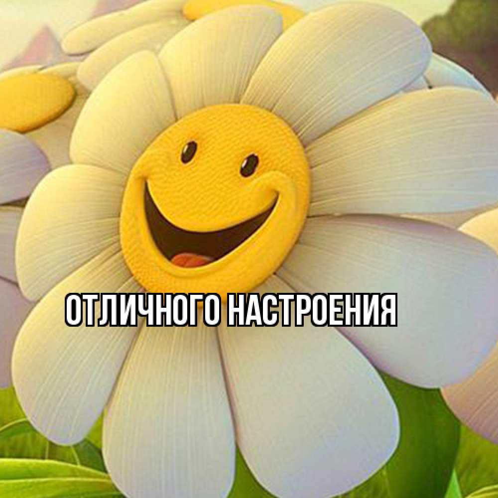 Открытка на каждый день с именем, Киска-моя Я жду тебя позитивные мысли Прикольная открытка с пожеланием онлайн скачать бесплатно 