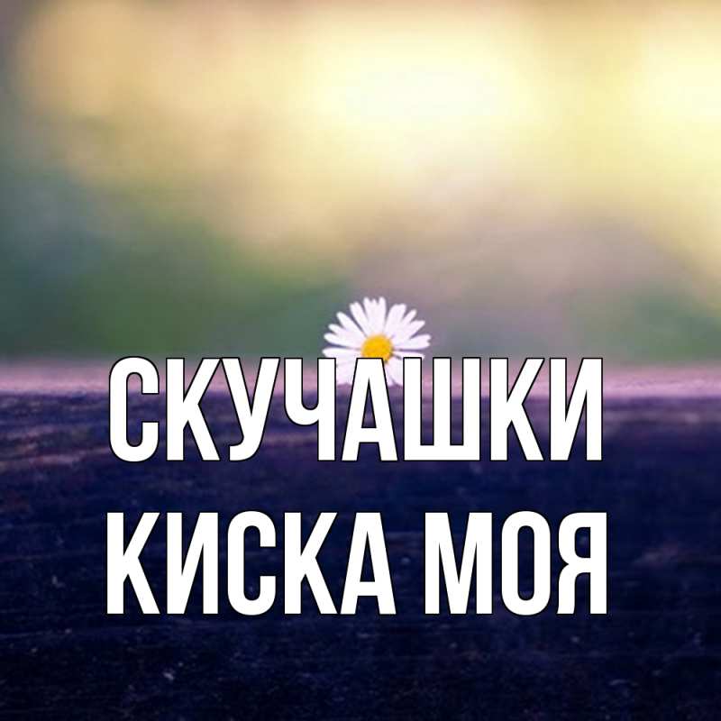 Картинка Скучашки, Киска моя