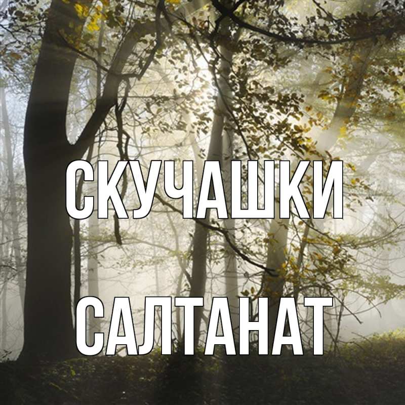 Картинка Скучашки, Салтанат