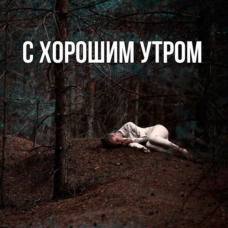 Картинка Скучашки, Фаддей