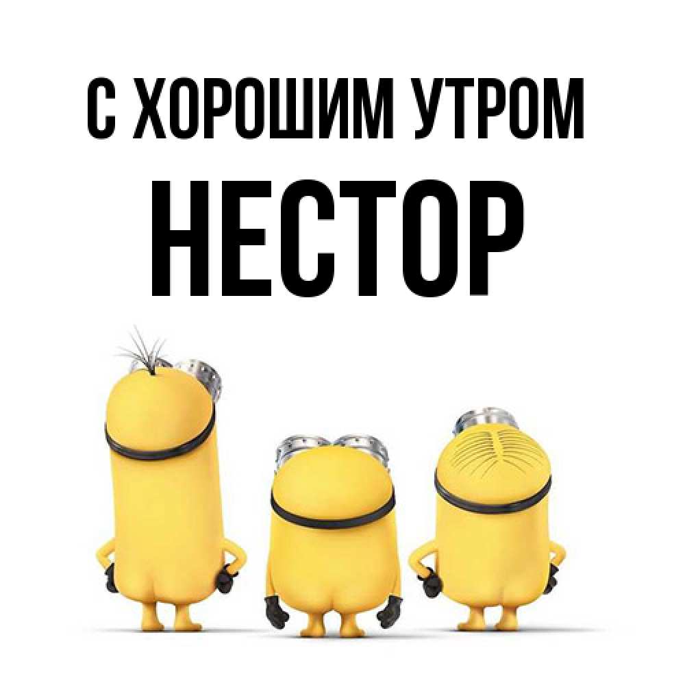 Открытка на каждый день с именем, Нестор С хорошим утром подписать открытку онлайн бесплатно Прикольная открытка с пожеланием онлайн скачать бесплатно 